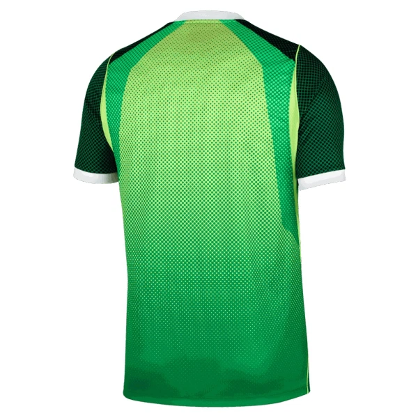 Maillot De Foot Nigéria Domicile 26/27