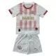 Kit De Football PSV Eindhoven Enfant Fourth 25/26 - Spécial Kit De Football PSV Eindhoven Enfant Fourth 25/26 - Spécial