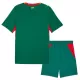 Kit De Football Sénégal Enfant Extérieur Coupe du Monde 2026