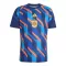 Maillot De Foot Espagne Pre-Match Coupe du Monde 2026