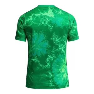 Maillot De Foot Gardien Pays-Bas Extérieur Coupe du Monde 2026