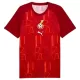 Maillot De Foot Ghana Pre-Match Coupe du Monde 2026