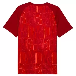 Maillot De Foot Ghana Pre-Match Coupe du Monde 2026