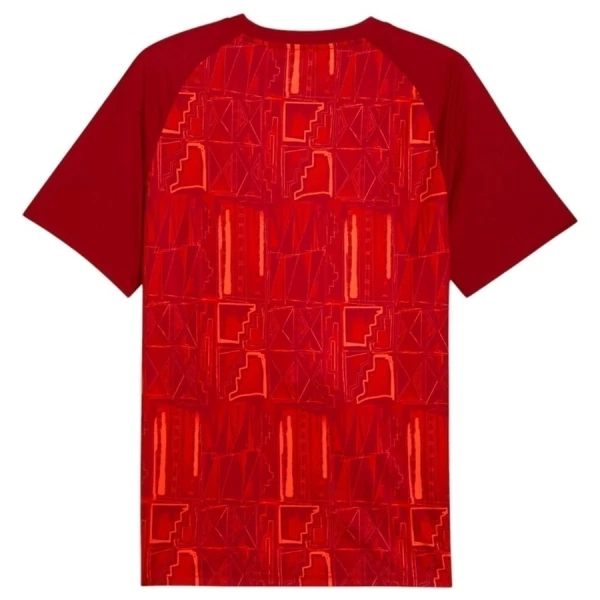 Maillot De Foot Ghana Pre-Match Coupe du Monde 2026