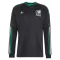 Maillot De Foot Mexique Third Coupe du Monde 2026 Manches Longues