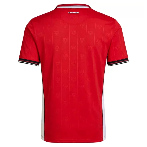 Maillot De Foot Panama Domicile Coupe du Monde 2026