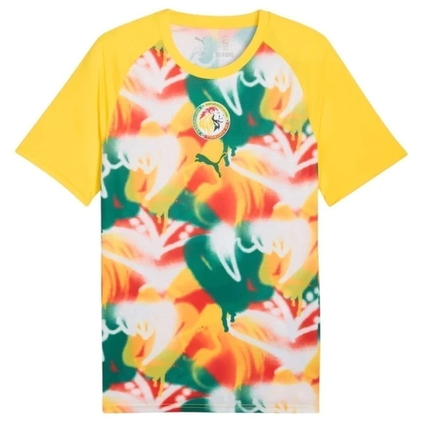 Maillot De Foot Sénégal Pre-Match Coupe du Monde 2026