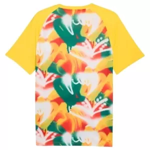 Maillot De Foot Sénégal Pre-Match Coupe du Monde 2026