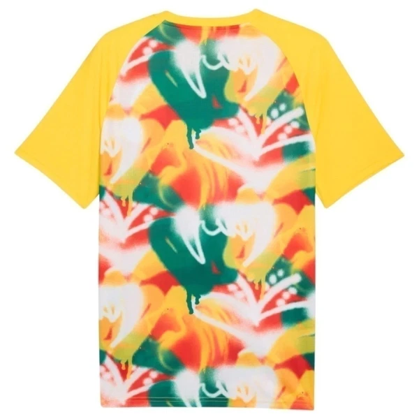 Maillot De Foot Sénégal Pre-Match Coupe du Monde 2026