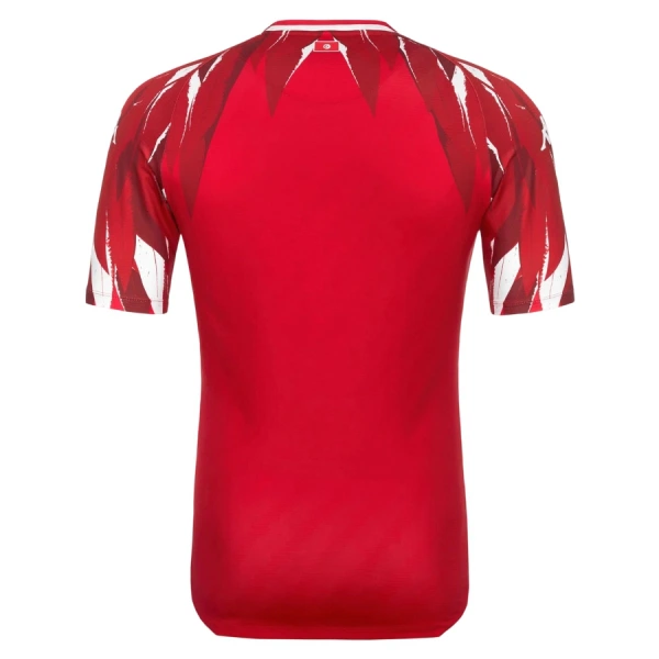 Maillot De Foot Tunisie Extérieur Coupe du Monde 2026