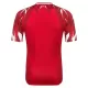 Maillot De Foot Tunisie Extérieur Coupe du Monde 2026