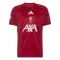 Maillot De Foot Liverpool Pre-Match 26/27