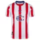Maillot De Foot CD Guadalajara 120e Anniversaire 25/26 Maillot De Foot CD Guadalajara 120e Anniversaire 25/26
