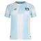 Maillot De Foot Grêmio FBPA Extérieur 26/27