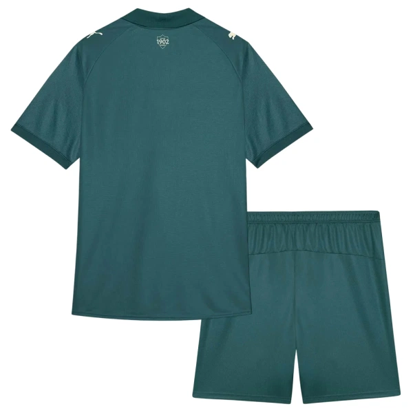 Kit De Football Fluminense FC Enfant Third 26/27