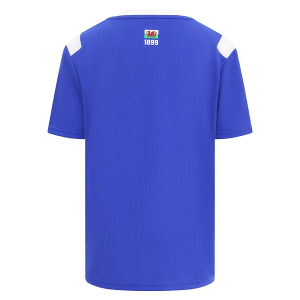 Maillot De Foot Cardiff City Domicile 26/27