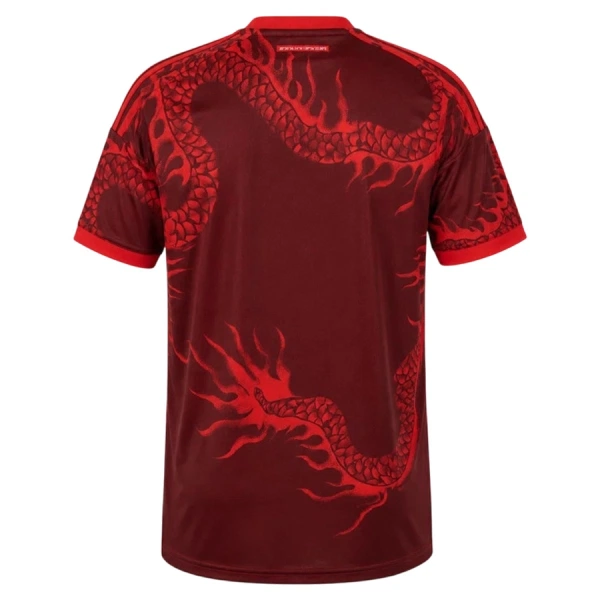 Maillot De Foot Internacional Third 26/27