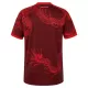Maillot De Foot Internacional Third 26/27