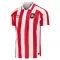 Maillot De Foot Sunderland Domicile 26/27