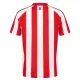 Maillot De Foot Sunderland Domicile 26/27