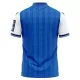 Maillot De Foot TSG 1899 Hoffenheim Domicile 26/27